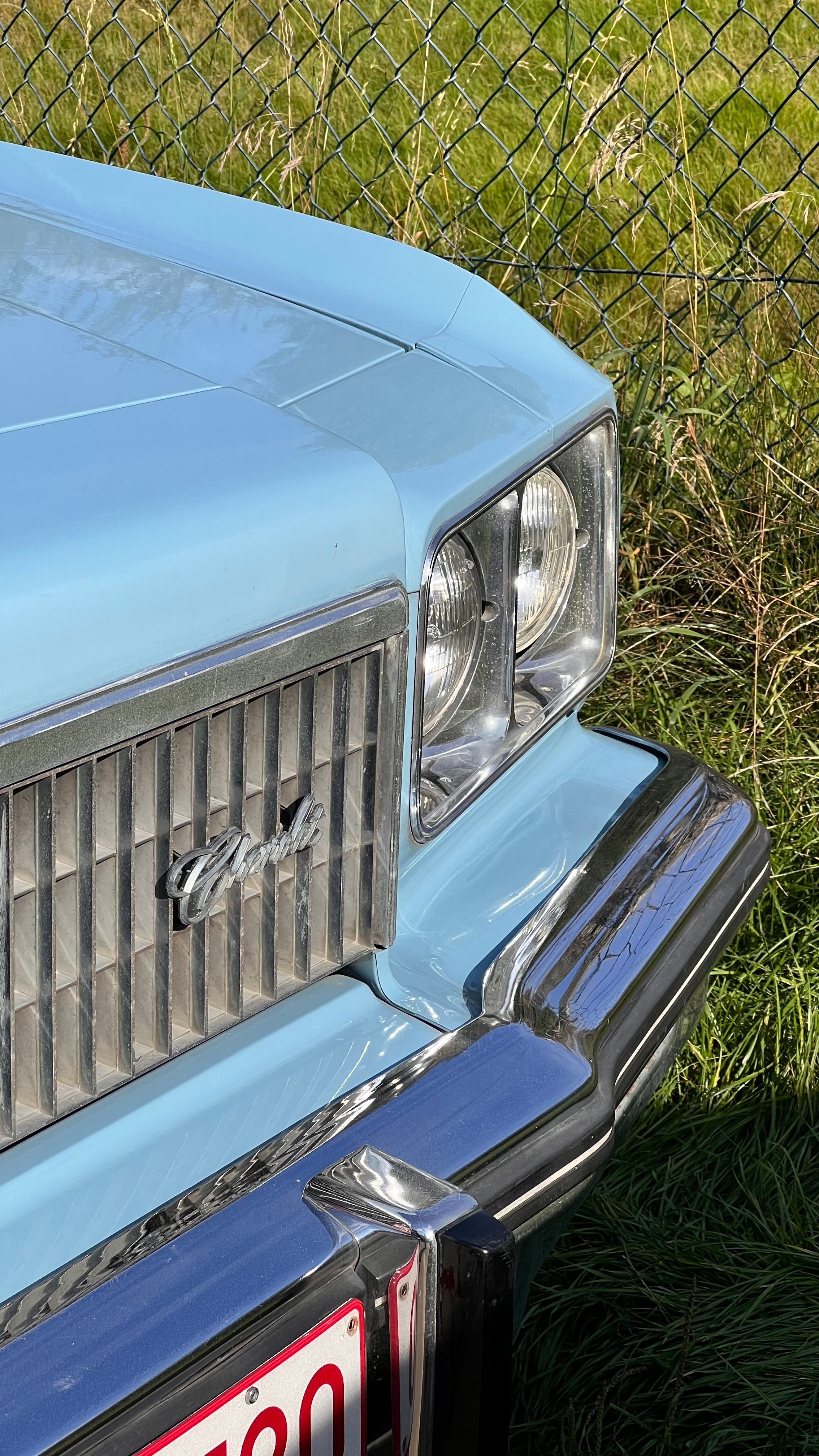 Close-up of the front corner of a light blue classic Cadillac car with chrome grille and bumper, photographed outdoors in front of a chain-link fence and grass.